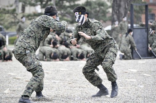 Corean soldiers A002