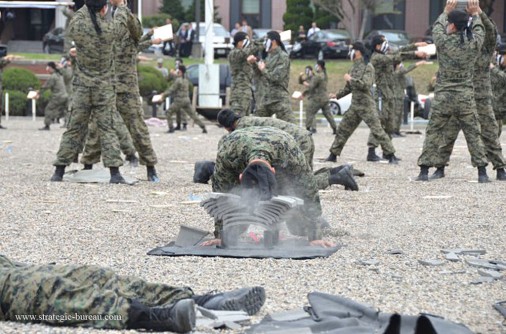 Corean soldiers A003