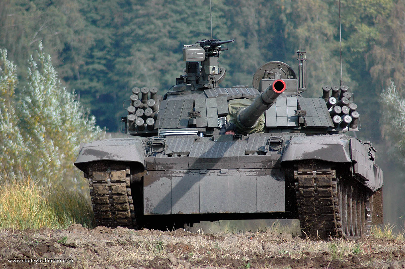 PT-91M_Twardy_char_P. 