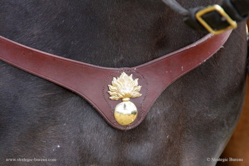 Garde a cheval 004