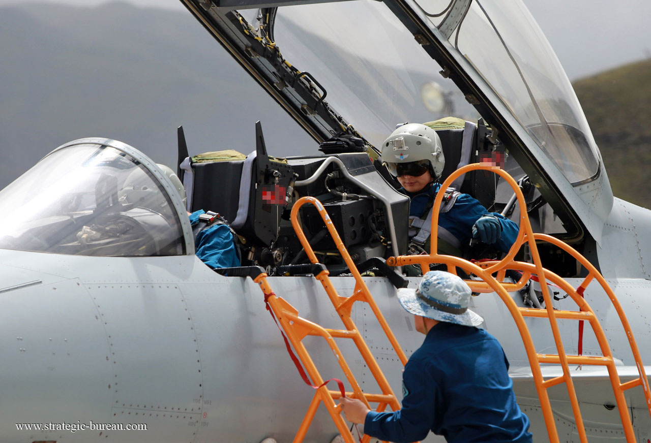 Source Chine J-10/F-10 Aviation Avion Militaire Modèle avec Train  D'atterrissage on m.alibaba.com