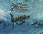 USAF-exercice-natation
