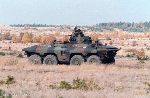 Luchs_reco_8x8_Allemagne_002