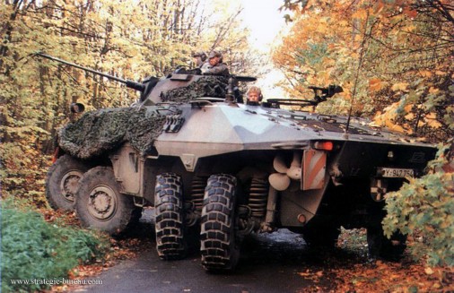 Luchs_reco_8x8_Allemagne_005