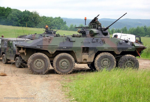 Luchs_reco_8x8_Allemagne_010