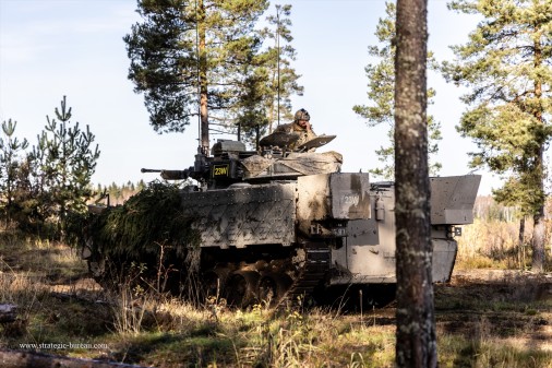 Bold_Panzer_2_exercice_2025_008_Warrior