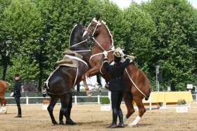 Cadre_Noir_Saumur_200ans_A101
