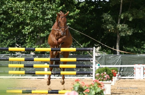 Cadre_Noir_Saumur_200ans_A102