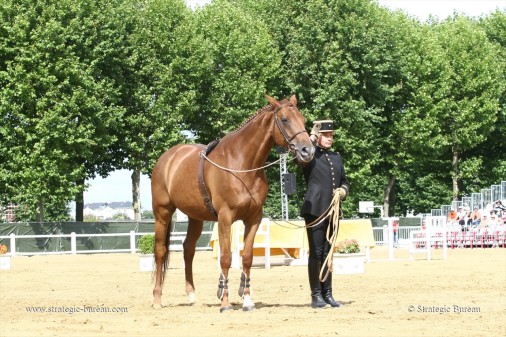 Cadre_Noir_Saumur_200ans_A103